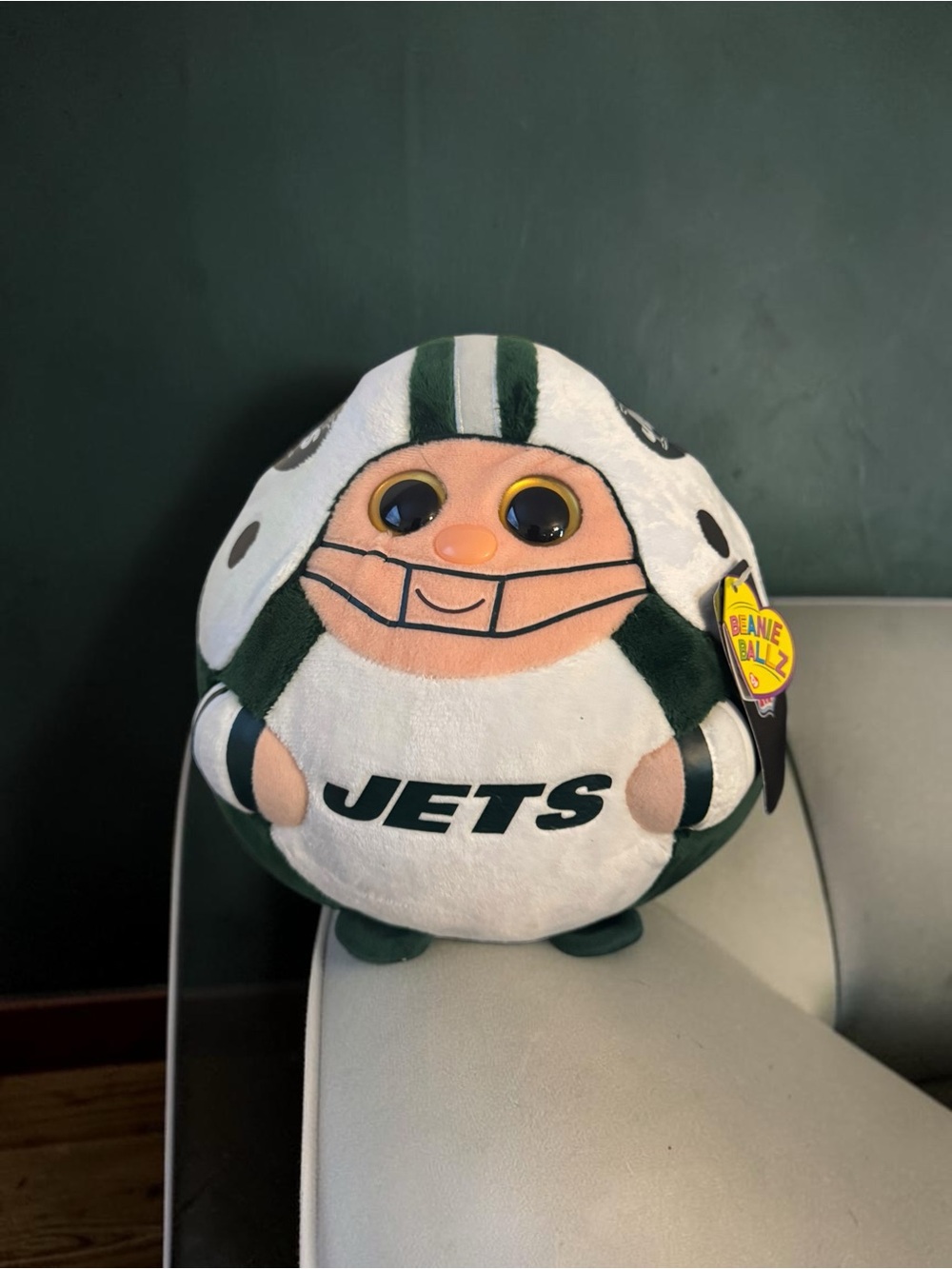 NFL Plush Helmet Bean Bag in Green and White